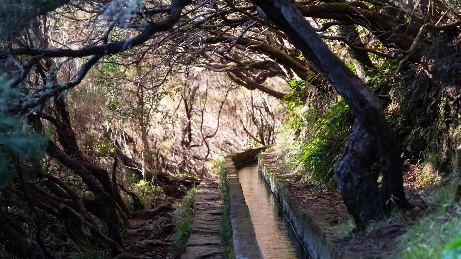Ourmadeira - Seaview Apartment, Countryside カリェタ 0*,