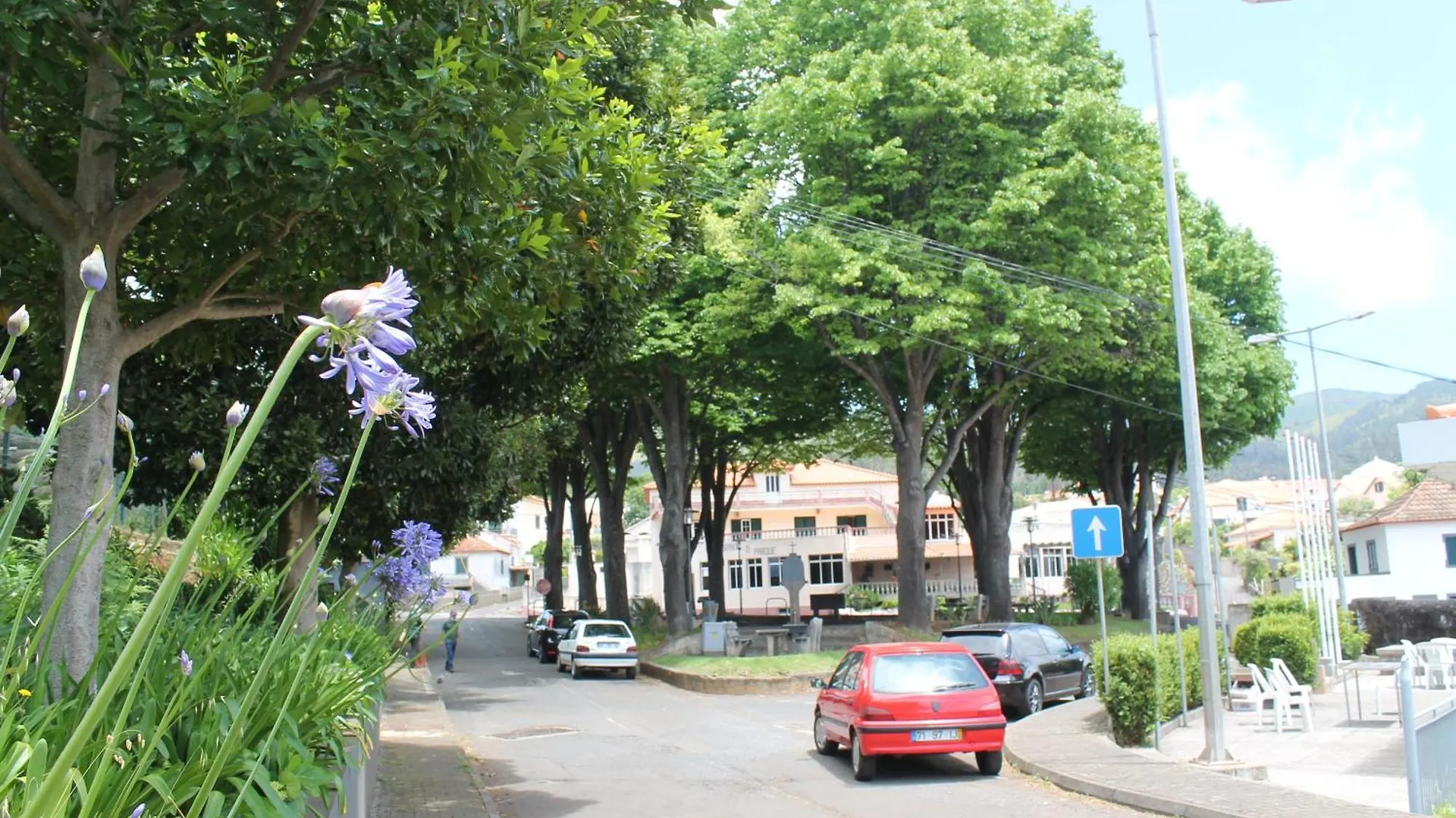 Ourmadeira - Seaview Apartment, Countryside カリェタ アパート